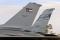 Jordanian and South Carolina ANG F-16 tails pose side by side at Falcon Air Meet 2009 in Jordan. Three countries participated in FAM 2009. The United States was represented by the 169th Fighter Wing, the South Carolina Air National Guard unit.