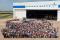 From 1997 to 2012, Lockheed Martin built and delivered 195 Raptors to the US Air Force, which included nine test aircraft. Here, some of the 1,000 people in attendance at the final delivery ceremony on 2 May 2012 stand around the milestone aircraft, Raptor 4195. They represent all the people of Team Raptor in government and industy across the country who had a part in building the F-22 fleet.