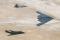 1 January 2004: An F/A-22 Raptor, an F-117 Nighthawk, and a B-2 Spirit make a unique formation of Air Force stealth aircraft over the Rose Bowl stadium in Pasadena, California, during the national anthem at the ninetieth Rose Bowl football game. The Raptor pilot is Col. Joe Lanni.